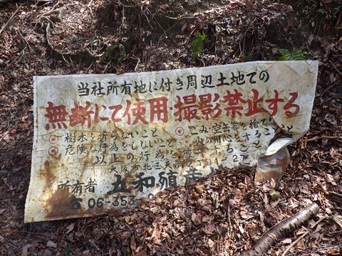RIMG3598_R