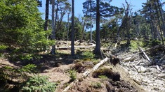 RIMG9763_R