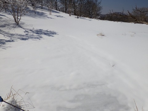 RIMG8947_R