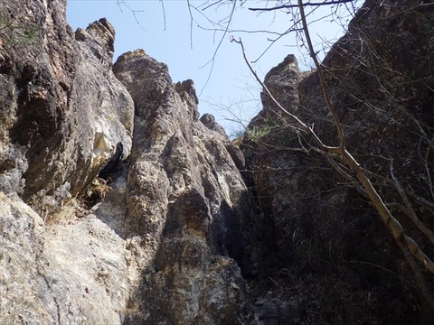 RIMG3584_R