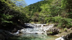RIMG9744_R