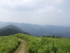 RIMG5905_R