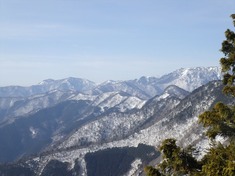 RIMG8750_R