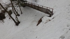 RIMG8338_R