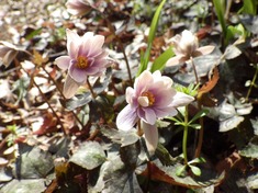 RIMG8792_R