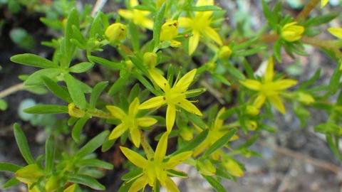 RIMG9584_R