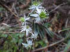 RIMG8797_R
