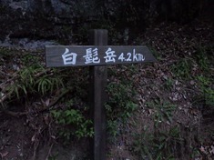 RIMG9276_R