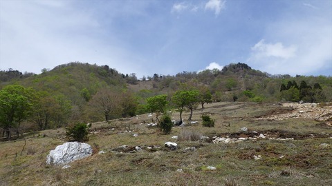RIMG9554_R