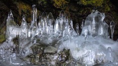 RIMG8732_R