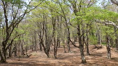 RIMG9569_R