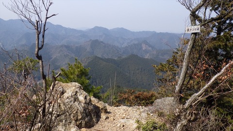 RIMG8819_R