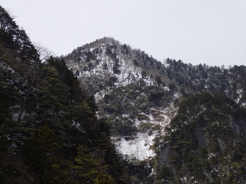 RIMG8762_R