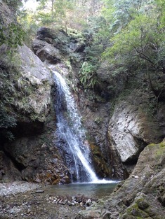 RIMG8778_R