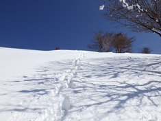 RIMG8943_R