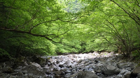 RIMG9673_R