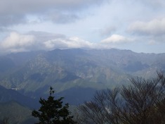 RIMG9291_R