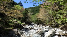 RIMG9742_R
