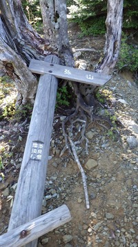 RIMG9699_R
