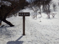RIMG8923_R
