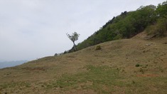 RIMG9531_R