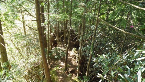 RIMG9607_R