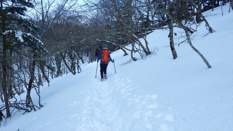 RIMG8568_R