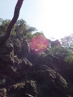 RIMG8806_R