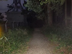 RIMG5833_R