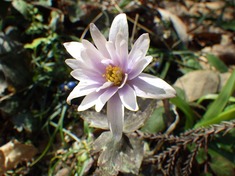 RIMG8791_R