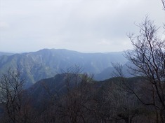 RIMG9295_R