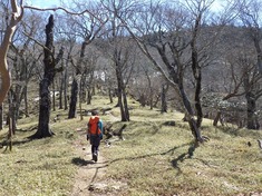RIMG9208_R