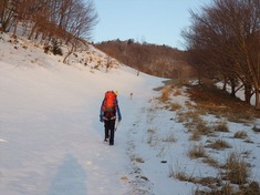 RIMG8716_R