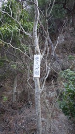 RIMG8813_R