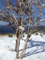 RIMG8941_R