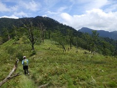 RIMG5283_R