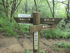 RIMG5215_R