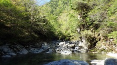 RIMG9704_R
