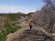 RIMG9238_R