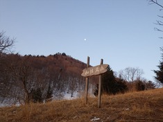 RIMG8712_R