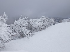 RIMG8664_R