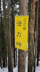 RIMG8312_R