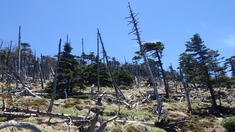 RIMG9768_R