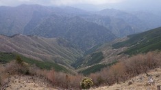 RIMG9313_R