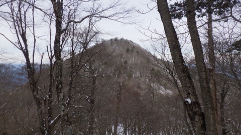 RIMG8469_R