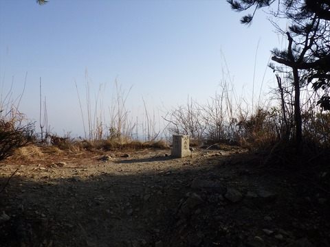 RIMG8772_R