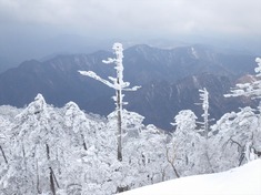 RIMG8686_R