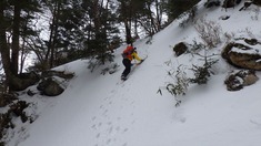 RIMG8592_R