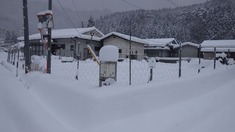 RIMG8228_R