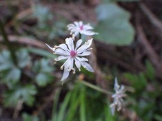 RIMG8796_R
